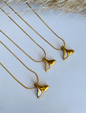 Cola de ballena mitad